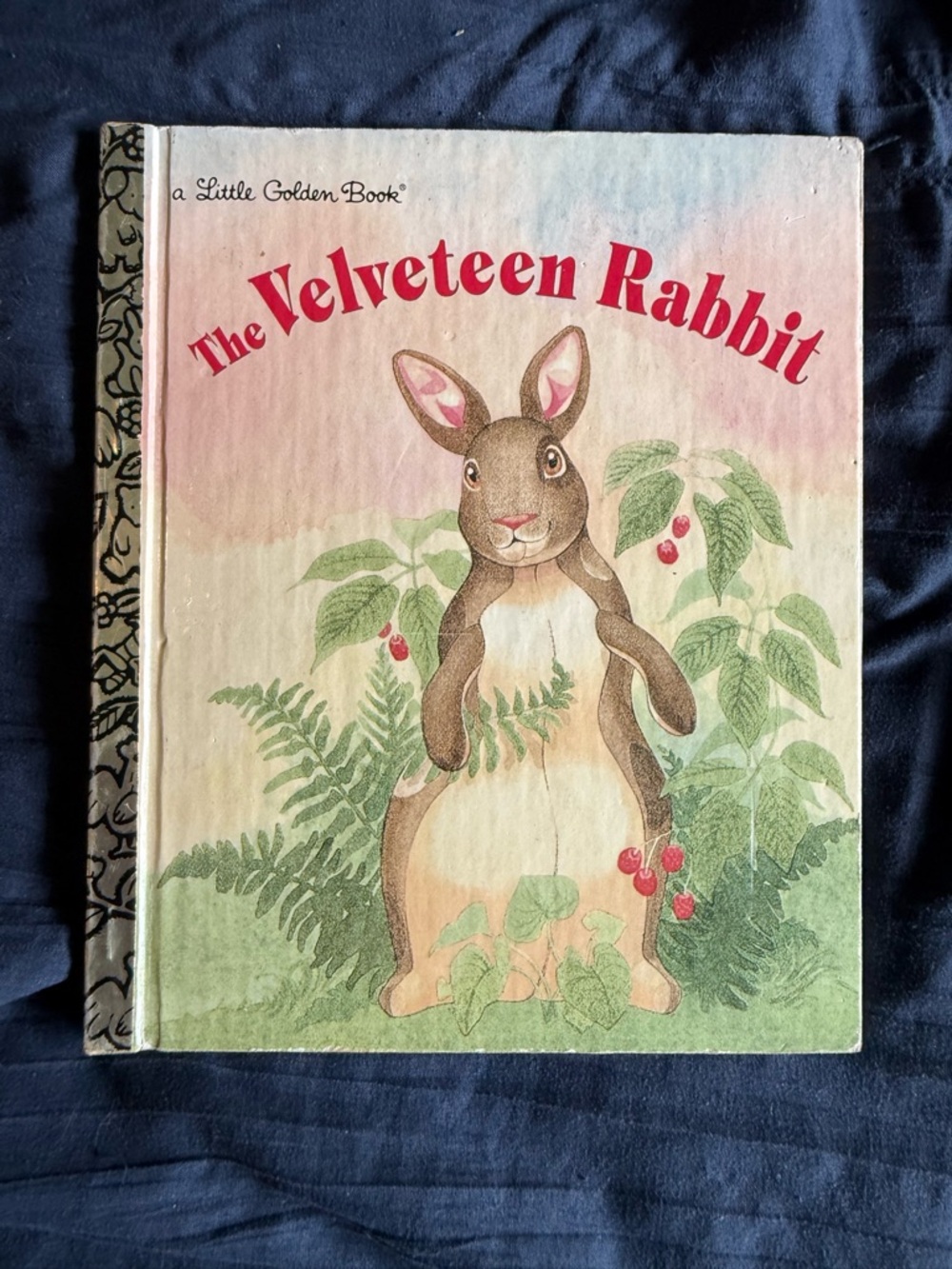 The Velveteen Rabbit + Little Golden Books Set - Colorful Vintage Kids Classics - Picture 2 of 12
